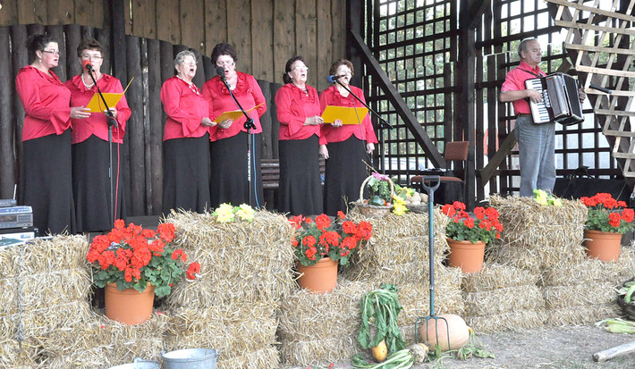 Biegali w szlorach, zbierali kukurydzę ZDJĘCIA