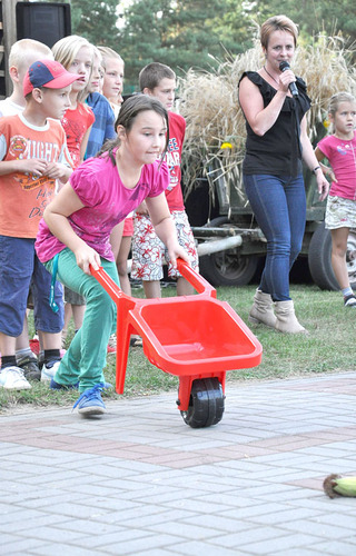 Biegali w szlorach, zbierali kukurydzę ZDJĘCIA