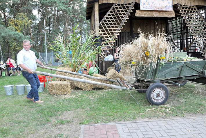 Biegali w szlorach, zbierali kukurydzę ZDJĘCIA