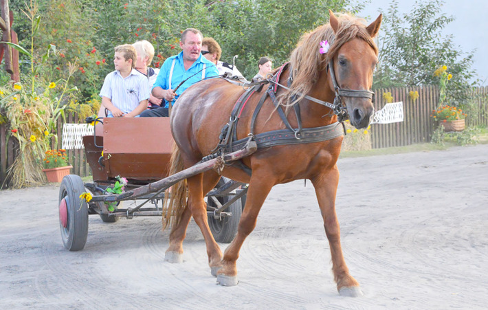Święto plonów w zachwycającej oprawie
