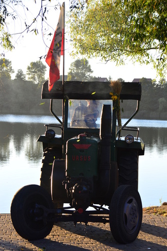 Cekcyńskie dzieła sztuki ZDJĘCIA