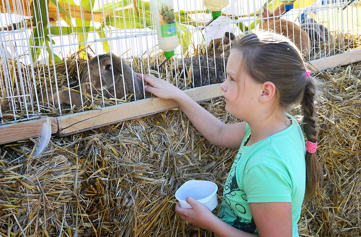 Słoneczne święto na zakończenie ciężkiej pracy