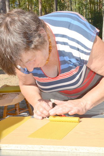 Miodem płynący Dzień Bartnika