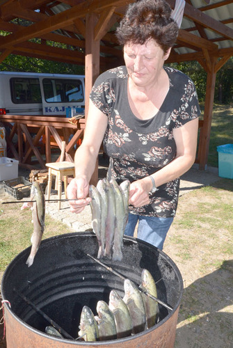 Miodem płynący Dzień Bartnika