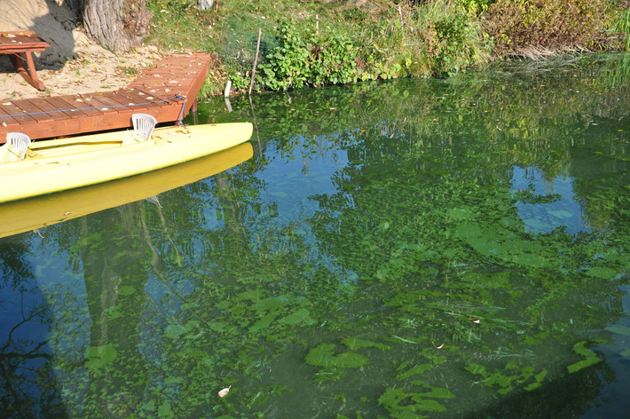 Tak wygląda Jezioro Wielkie Cekcyńskie - ZDJĘCIA