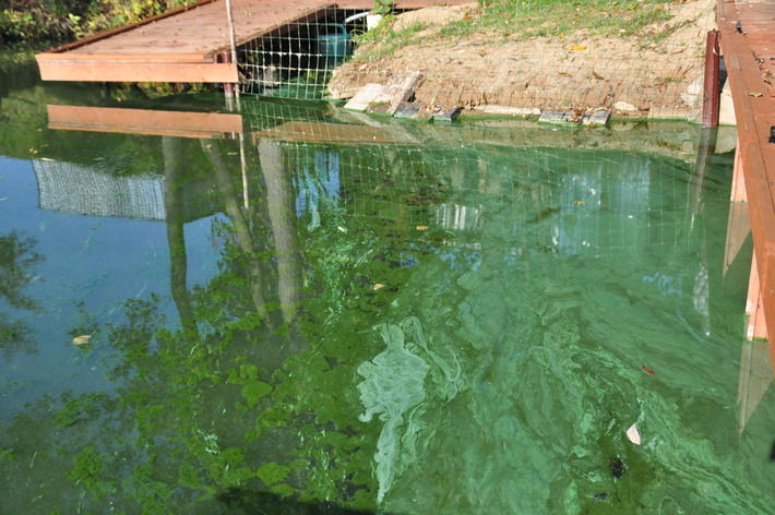 Tak wygląda Jezioro Wielkie Cekcyńskie - ZDJĘCIA