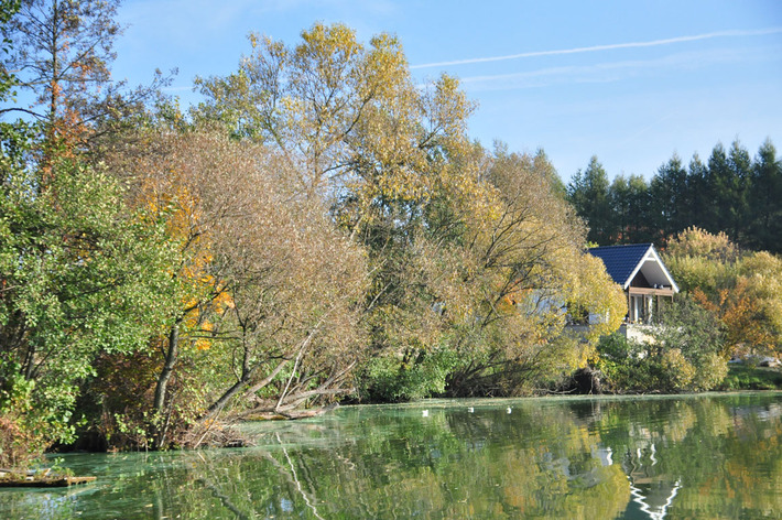 Tak wygląda Jezioro Wielkie Cekcyńskie - ZDJĘCIA