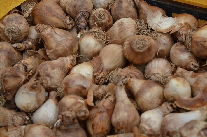 Ostatnio zebrali prawie 20 tysięcy. Niech wiosną będzie więcej! GALERIA