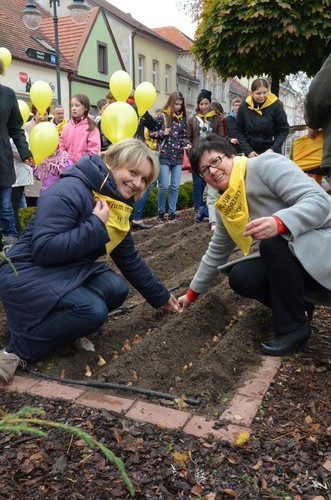 Ostatnio zebrali prawie 20 tysięcy. Niech wiosną będzie więcej! GALERIA