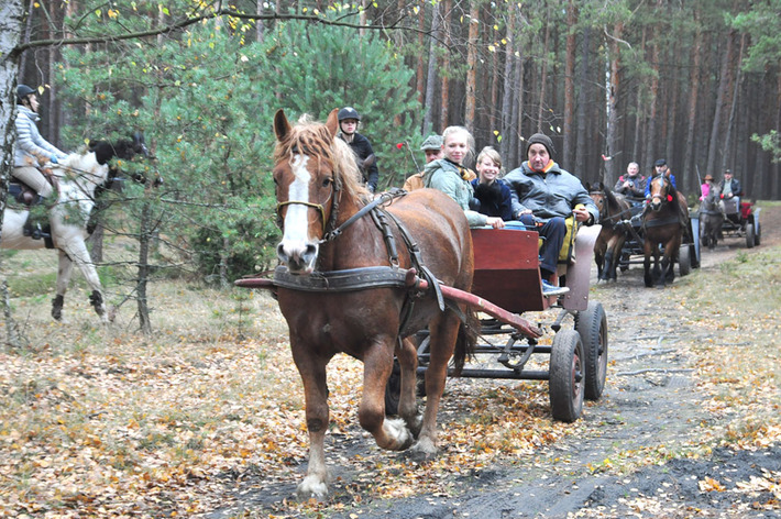 W Okoninach lis już złapany ZDJĘCIA