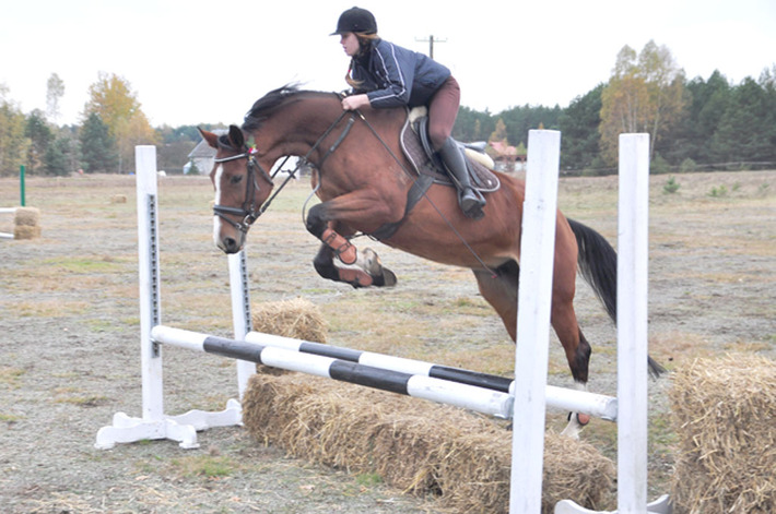 W Okoninach lis już złapany ZDJĘCIA