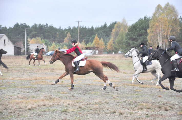 W Okoninach lis już złapany ZDJĘCIA
