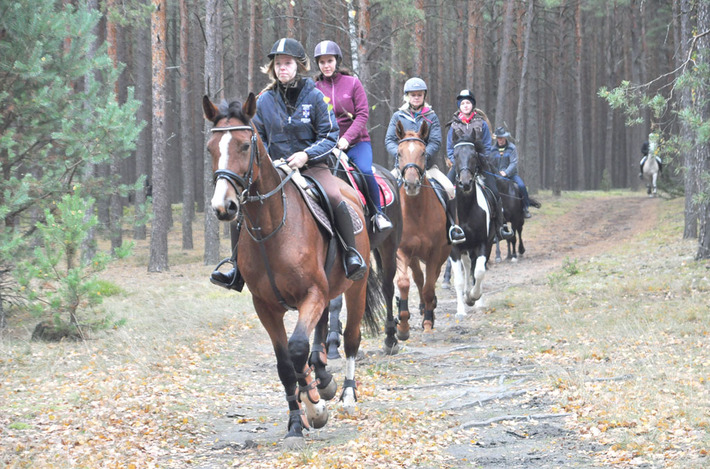 W Okoninach lis już złapany ZDJĘCIA