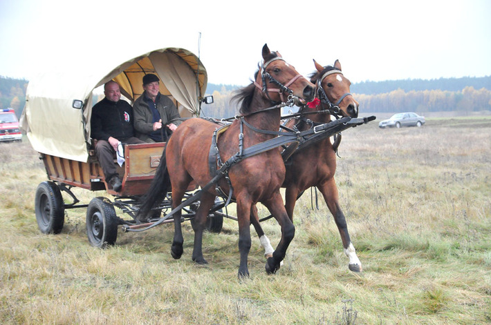 Zakończyli sezon jeździecki ZDJĘCIA