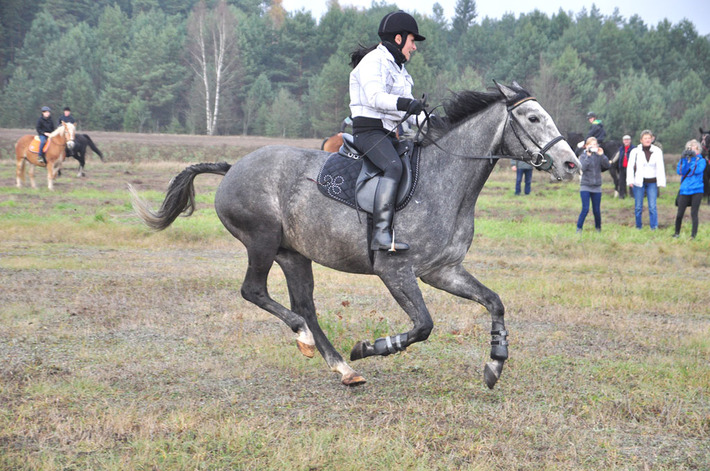 Zakończyli sezon jeździecki ZDJĘCIA