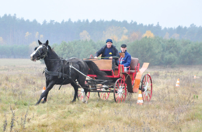 Zakończyli sezon jeździecki ZDJĘCIA