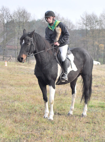 Zakończyli sezon jeździecki ZDJĘCIA