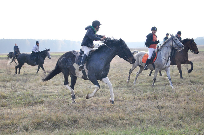Zakończyli sezon jeździecki ZDJĘCIA