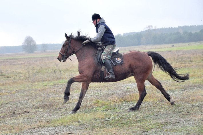 Zakończyli sezon jeździecki ZDJĘCIA