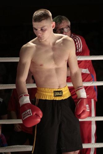 Boks: Zobacz, jak Godlewski zbił Ormianina - 2 CZĘŚĆ GALERII