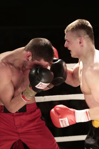 Boks: Zobacz, jak Godlewski zbił Ormianina - 2 CZĘŚĆ GALERII