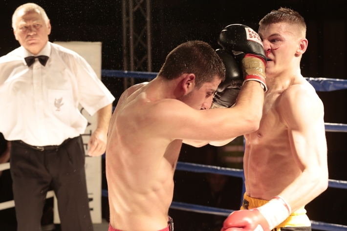 Boks: Zobacz, jak Godlewski zbił Ormianina - 2 CZĘŚĆ GALERII