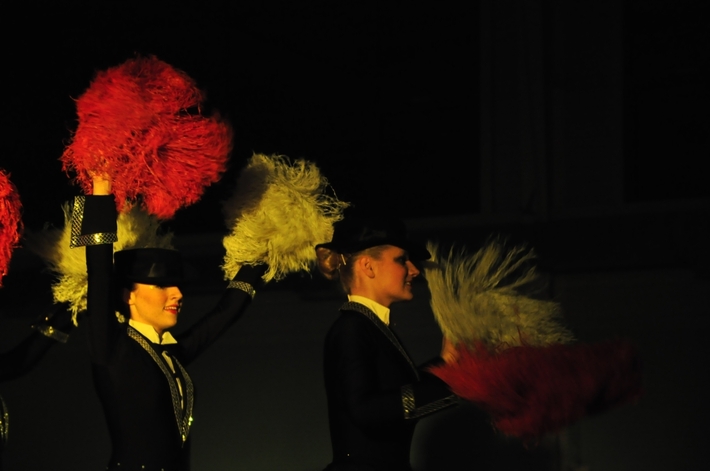 Koncertowy początek roku  ZDJĘCIA