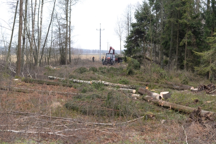 Skutki żywiołu  ZDJĘCIA