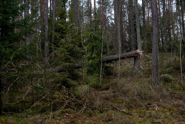 Skutki żywiołu  ZDJĘCIA