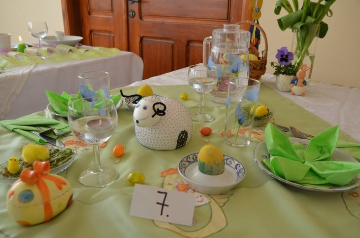 Tym razem ocenili ich profesjonaliści  ZDJĘCIA