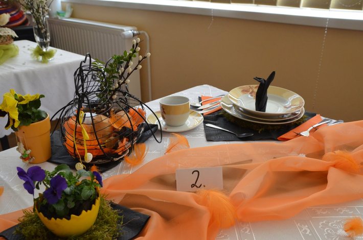 Tym razem ocenili ich profesjonaliści  ZDJĘCIA