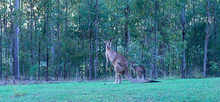Pod australijskim niebem ZDJĘCIA