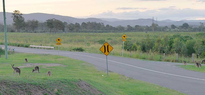 Pod australijskim niebem ZDJĘCIA