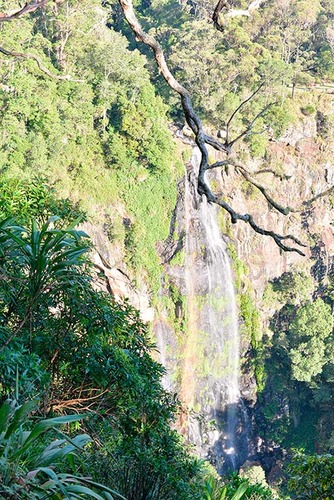 Pod australijskim niebem ZDJĘCIA