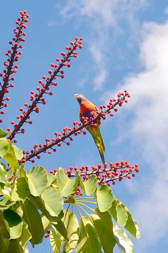 Pod australijskim niebem ZDJĘCIA