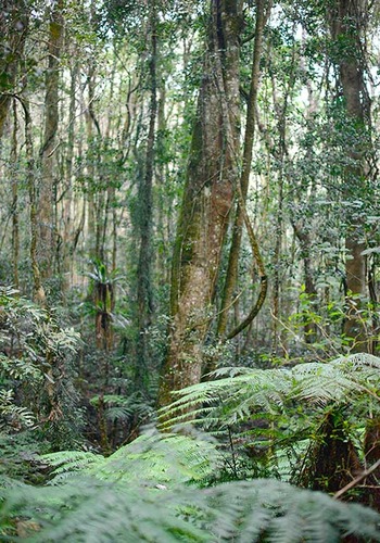 Pod australijskim niebem ZDJĘCIA