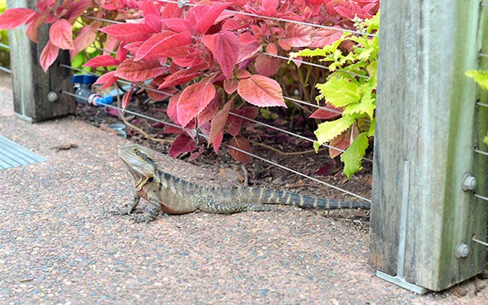 Pod australijskim niebem ZDJĘCIA