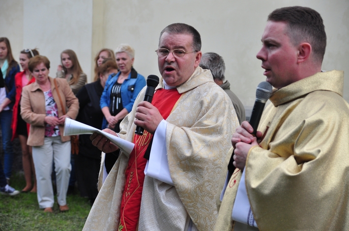 Dąb na kanonizację Jana Pawła II  ZDJĘCIA