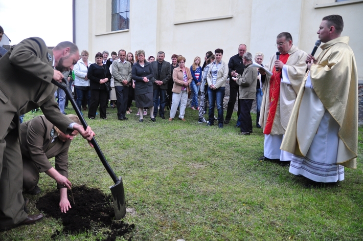 Dąb na kanonizację Jana Pawła II  ZDJĘCIA