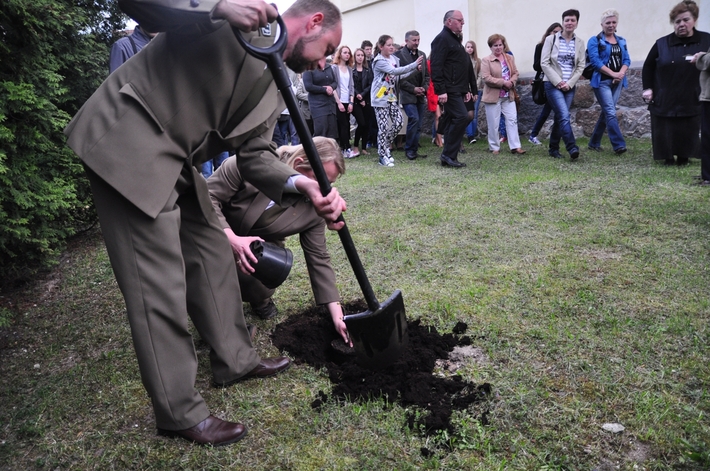 Dąb na kanonizację Jana Pawła II  ZDJĘCIA