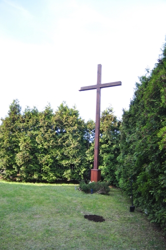 Dąb na kanonizację Jana Pawła II  ZDJĘCIA