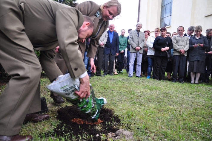 Dąb na kanonizację Jana Pawła II  ZDJĘCIA