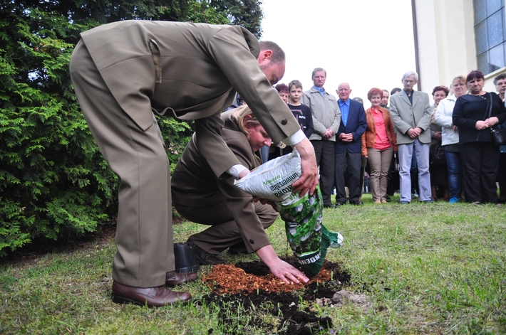 Dąb na kanonizację Jana Pawła II  ZDJĘCIA