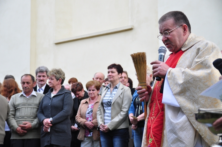 Dąb na kanonizację Jana Pawła II  ZDJĘCIA
