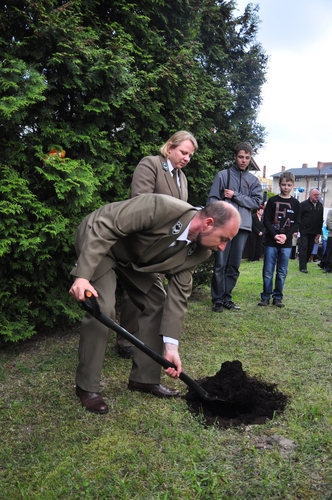 Dąb na kanonizację Jana Pawła II  ZDJĘCIA