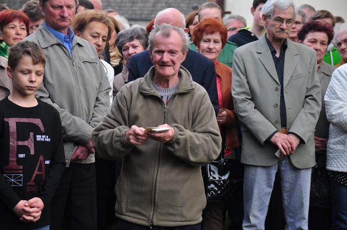 Dąb na kanonizację Jana Pawła II  ZDJĘCIA