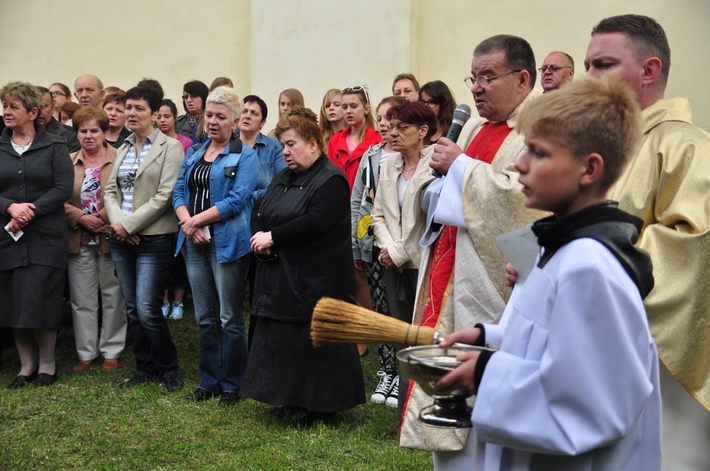 Dąb na kanonizację Jana Pawła II  ZDJĘCIA