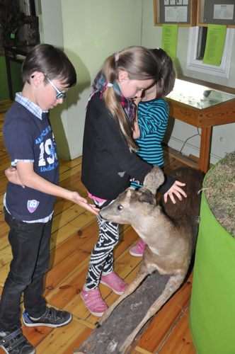 Co można robić nocą w muzeum? GALERIA