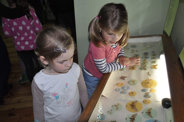 Co można robić nocą w muzeum? GALERIA