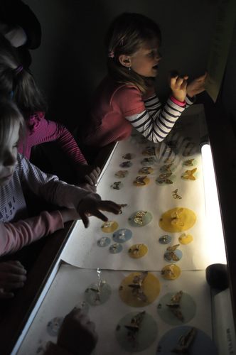 Co można robić nocą w muzeum? GALERIA